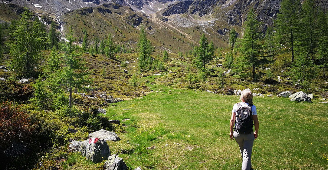 Nationalpark Hohe Tauern  Ihr Sommerparadies